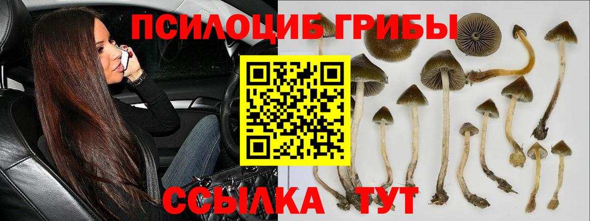 Уварово  Галлюциногенные грибы мухоморы  Вход с VPN 